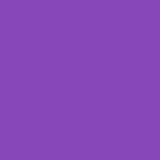 Fire HD 10 Case, Amazon Fire HD 10 2015 Case, rooCASE Dual View Leather PU Folio Slim Fit Lightweight Folding Stand Cover Auto Wake/Sleep, Purple