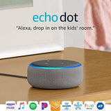 Echo Dot (3rd Gen) - Smart speaker with Alexa - Heather Gray