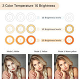 LED Ring Light for Live Streaming & YouTube Video Shooting, 6 inches Desktop Makeup Ring Light Dimmable for Photography Lighting, Smartphone, Studio with 3 Light Mode & 10 Brightness Level