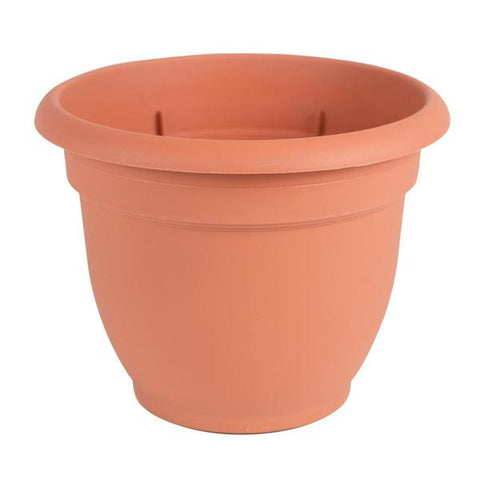 Pote plástico de 6" ariana terracotta, Bloem