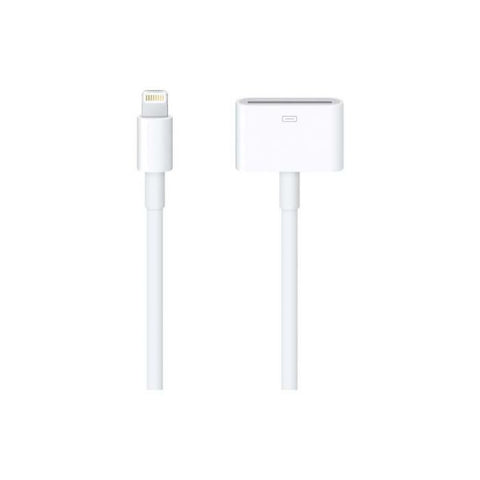 Apple Lightning to 30 Pin 20cm Adapter