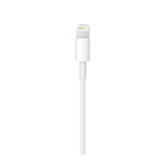 Apple Lightning to USB Cable 1 m