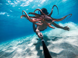 Cámara GOPRO Hero 9 Black