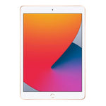Apple | iPad | 10.2¨ | 8th Gen | Wi-Fi | 128GB | USA| Oro