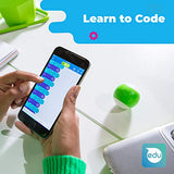 Sphero Mini (Green) App-Enabled Programmable Robot Ball - STEM Educational Toy for Kids Ages 8 & Up - Drive, Game & Code with Sphero Play & Edu App, 1.57", Green