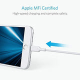 Anker Powerline II Lightning Cable (6ft), Probably The World's Most Durable Cable, MFi Certified for iPhone Xs/XS Max/XR/X / 8/8 Plus / 7/7 Plus / 6/6 Plus (White)