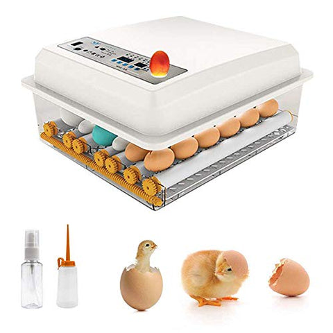 16 Mini Egg Incubator Digital Automatic Hatcher with Egg Turning for Chickens Ducks Goose Birds 商品名称