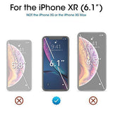 amFilm Glass Screen Protector for iPhone XR (3 Pack) (6.1, 10R) Tempered Glass with Easy Installation Tray