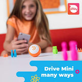 Sphero Mini (Green) App-Enabled Programmable Robot Ball - STEM Educational Toy for Kids Ages 8 & Up - Drive, Game & Code with Sphero Play & Edu App, 1.57", Green