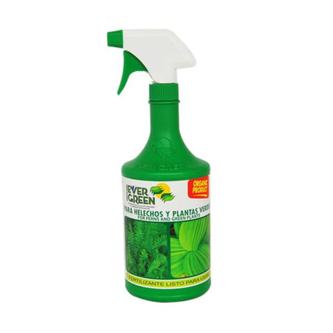 Fertilizante para helechos y plantas verdes, Evergreen