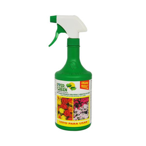 Fertilizantes para rosas, Evergreen