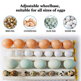 16 Mini Egg Incubator Digital Automatic Hatcher with Egg Turning for Chickens Ducks Goose Birds 商品名称