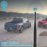 Universal Antenna for 1997-2019 Jeep Wrangler TJ JK JKU JL JLU, 13" Flexible Car Radio Antenna for Ford F150 2009-2019