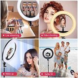 18 inch LED Ring Light with Tripod Stand Dimmable Makeup Selfie Ring Light for Studio Portrait YouTube Vlog Video Shooting with Carrying Bag and Remote Controller