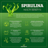 Spirulina (Algae Superfood) - 1 lb Resealable Pouch