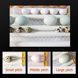 16 Mini Egg Incubator Digital Automatic Hatcher with Egg Turning for Chickens Ducks Goose Birds 商品名称