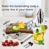 DEKINMAX 12-Piece Bartender kit with stand, Stainless Steel Cocktail Shaker set-Martini Shaker, Jigger, Strainer, Bar Mixer Spoon, Tongs, Bottle Opener,Liquor Pourer,Bottle stopper