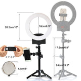 10" Selfie Ring Light 3200K-6500K for Webcam YouTube Video and Makeup,Dimmable LED Camera Light with Adjustable Tripod Stand,Mirror Cell Phone Holder Desktop LED Lamp