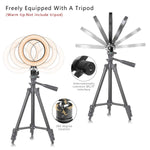 Ring Light 6" with Tripod Stand & Phone Holder for Live Streaming & YouTube Video, Dimmable Desktop LED Makeup Ring Light for Studio, Photography with 3 Light Modes & 10 Brightness Level