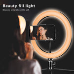 LED Ring Light for Live Streaming & YouTube Video Shooting, 6 inches Desktop Makeup Ring Light Dimmable for Photography Lighting, Smartphone, Studio with 3 Light Mode & 10 Brightness Level