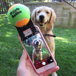 Pooch Selfie: The Original Dog Selfie Stick - AS SEEN ON TV