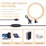 Ring Light 6" with Tripod Stand & Phone Holder for Live Streaming & YouTube Video, Dimmable Desktop LED Makeup Ring Light for Studio, Photography with 3 Light Modes & 10 Brightness Level