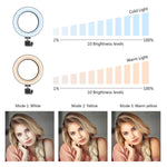 Ring Light 6" with Tripod Stand & Phone Holder for Live Streaming & YouTube Video, Dimmable Desktop LED Makeup Ring Light for Studio, Photography with 3 Light Modes & 10 Brightness Level