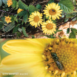 Moment - Macro Lens for iPhone, Pixel, Samsung Galaxy and OnePlus Camera Phones