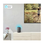Samsung Televisor LED Ultra HD 4K HDR Smart de 75" | PurColor | Bluetooth
