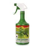 Insecticida hormigreen 250 ml, Evergreen