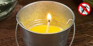 Vela citronela en cubo surtidas