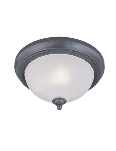 Lámpara de techo acabado de hierro de una luz, Westinghouse